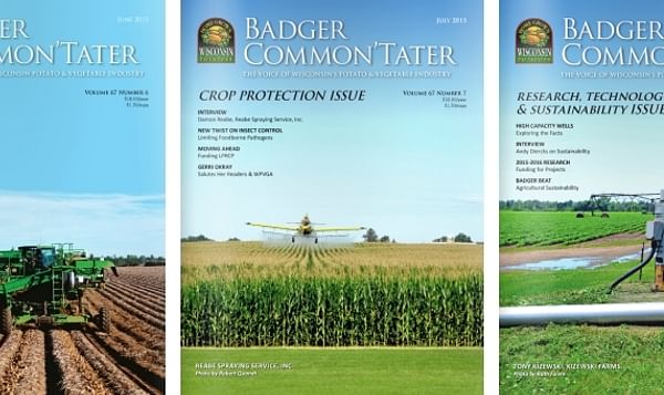 Wisconsin Badger CommonTater now available online