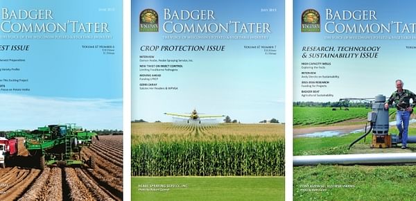 Wisconsin Badger CommonTater now available online
