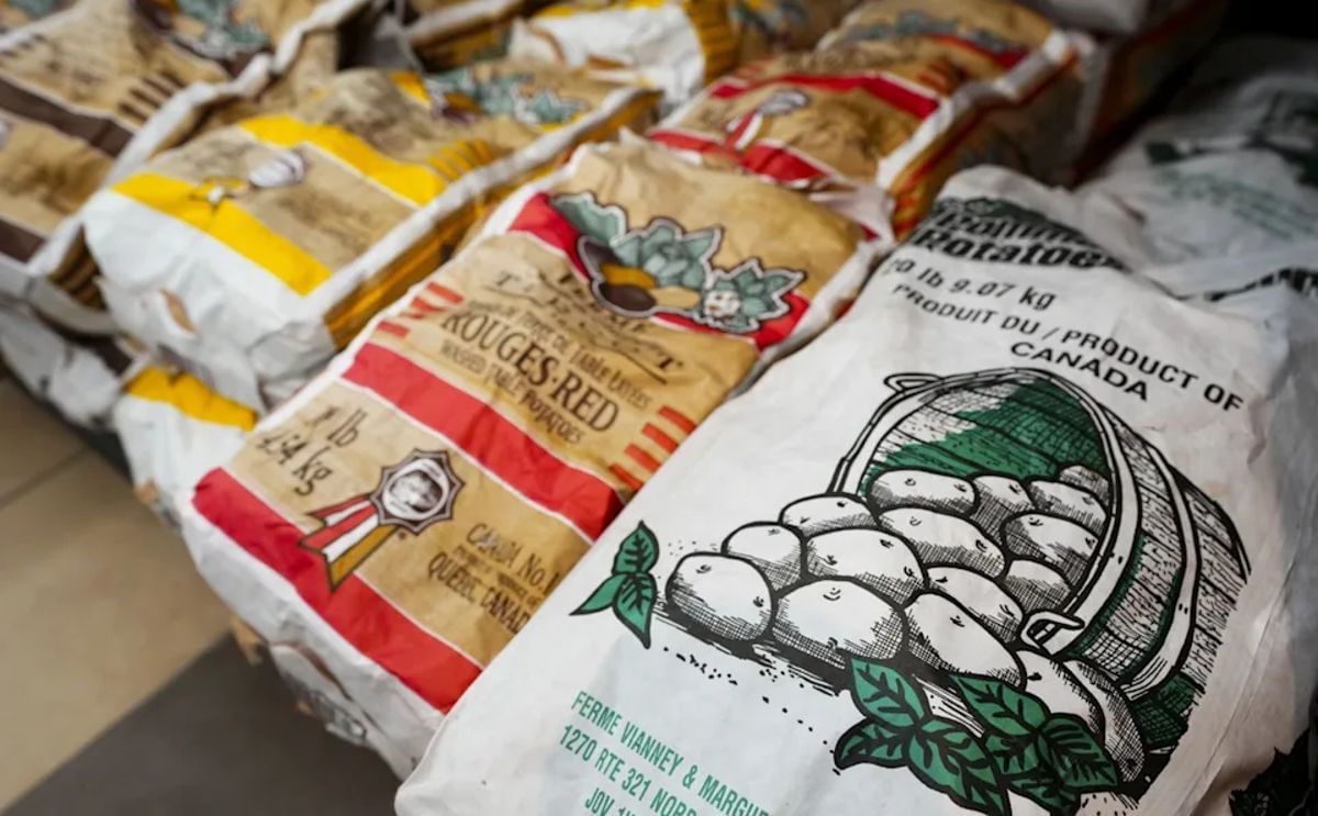 Bags of Canadian potatoes ready for export, highlighting the country’s continued strong trade with the United States despite circulating online rumors of major export cuts. Bags of Canadian potatoes ready for export, highlighting the country’s continued strong trade with the United States despite circulating online rumors of major export cuts.