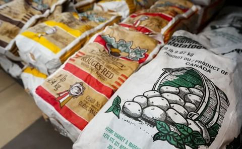 Bags of Canadian potatoes ready for export, highlighting the country’s continued strong trade with the United States despite circulating online rumors of major export cuts. Bags of Canadian potatoes ready for export, highlighting the country’s continued strong trade with the United States despite circulating online rumors of major export cuts.
