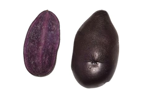 BALTIC BLUE BALTIC BLUE