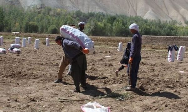 Potato harvest in the Bamyan province of Afghanistan to reach 370.000 tons