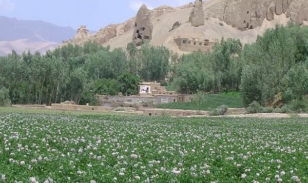 Potato production in Bamyan, Afghanistan increases 15 percent to 350,000 tonnes this year