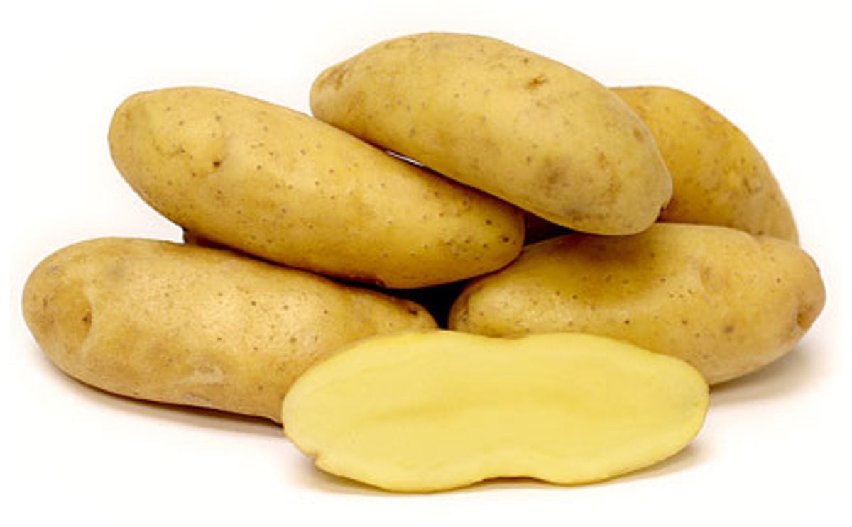 BANANA BANANA