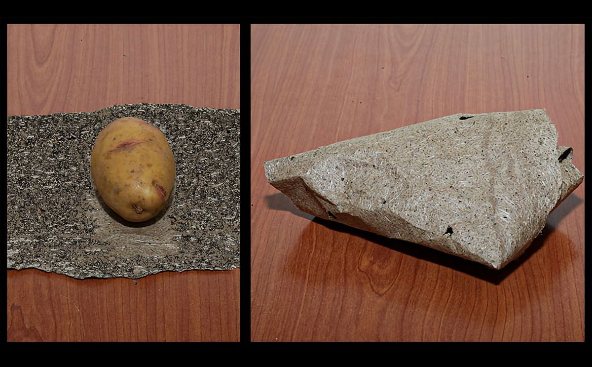 Destructive potato cyst nematodes meet their match in the banana-fiber paper