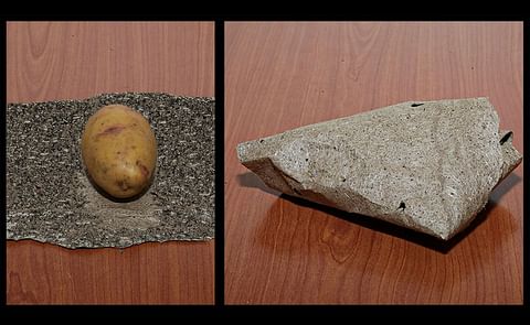 Destructive potato cyst nematodes meet their match in the banana-fiber paper Destructive potato cyst nematodes meet their match in the banana-fiber paper