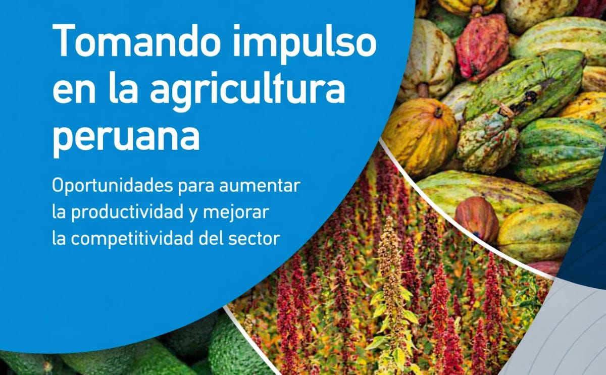 Banco Mundial destaca cadenas de valor de la papa nativa