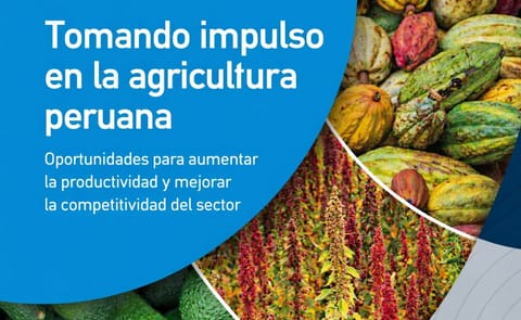 Banco Mundial destaca cadenas de valor de la papa nativa Banco Mundial destaca cadenas de valor de la papa nativa