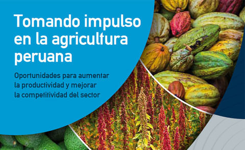 Banco Mundial destaca cadenas de valor de la papa nativa Banco Mundial destaca cadenas de valor de la papa nativa