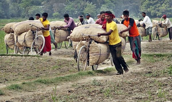 Potato Prices in Bangladesh up due to tight supply