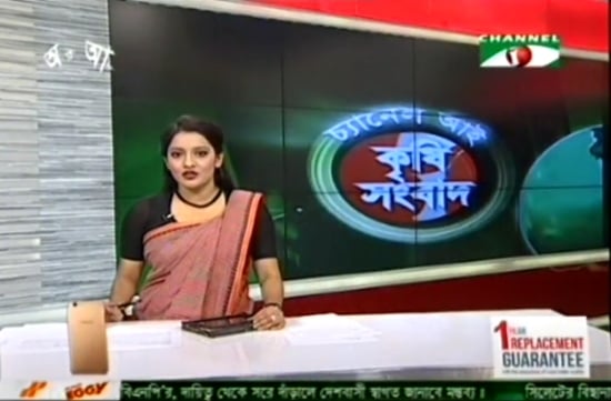 News item on the harvest of late blight resistant potatoes at the Giant Agro farm, Thakurgoan. (in Bengali) News item on the harvest of late blight resistant potatoes at the Giant Agro farm, Thakurgoan. (in Bengali)