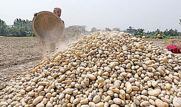 Bangladesh contract potato growers protest at Bombay Agro Limited