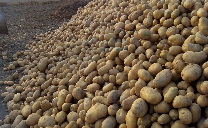 Potatoes from Bangladesh can be delivered direct from farmland.