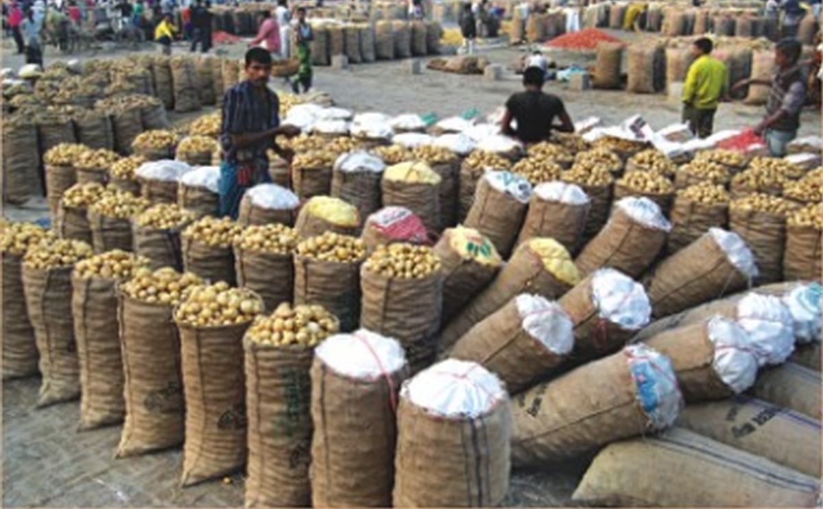 Farmers pack potatoes in sacks at the Mohasthan wholesale vegetables market in Bogra. (Courtesy: The Daily Star / Hasibur Rahman Bilu)