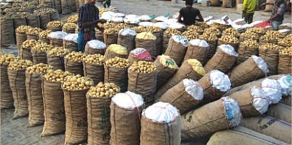Lack of storage facility compels farmers to sell potato at low prices in Bogra, Bangladesh