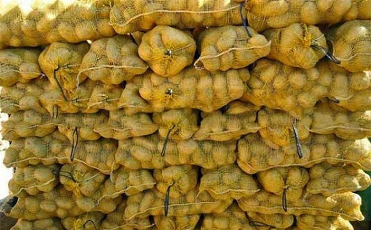 Packed potatoes from Bangladesh ready for export.
(Courtesy: Megagroup)