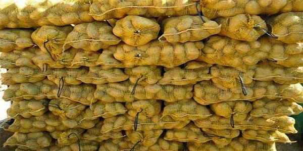 Potato Production in Bangladesh hits all-time high