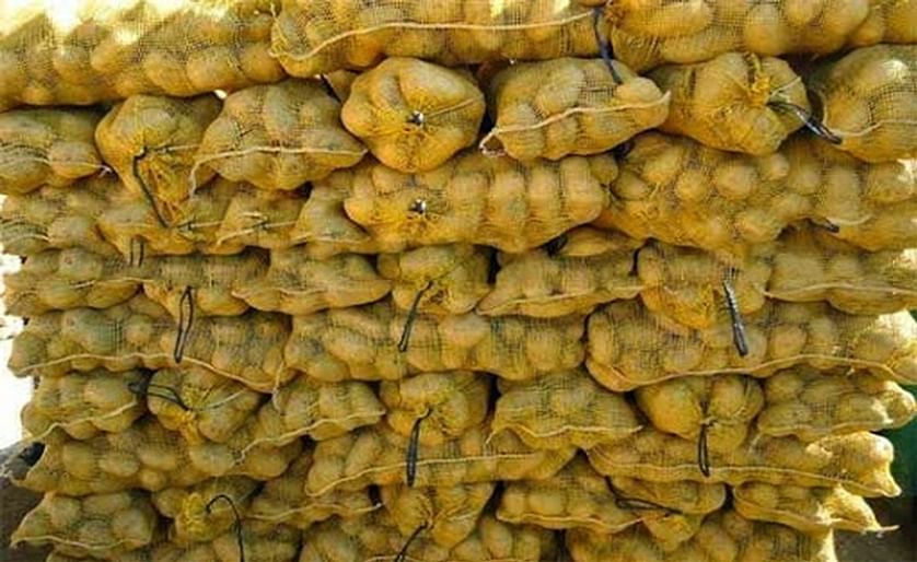 Packed potatoes from Bangladesh ready for export.
(Courtesy: Megagroup)