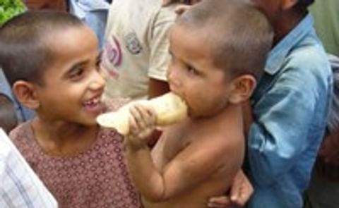 Improving incomes and nutritional health in Bangladesh through potato, sweetpotato, and vegetables Improving incomes and nutritional health in Bangladesh through potato, sweetpotato, and vegetables