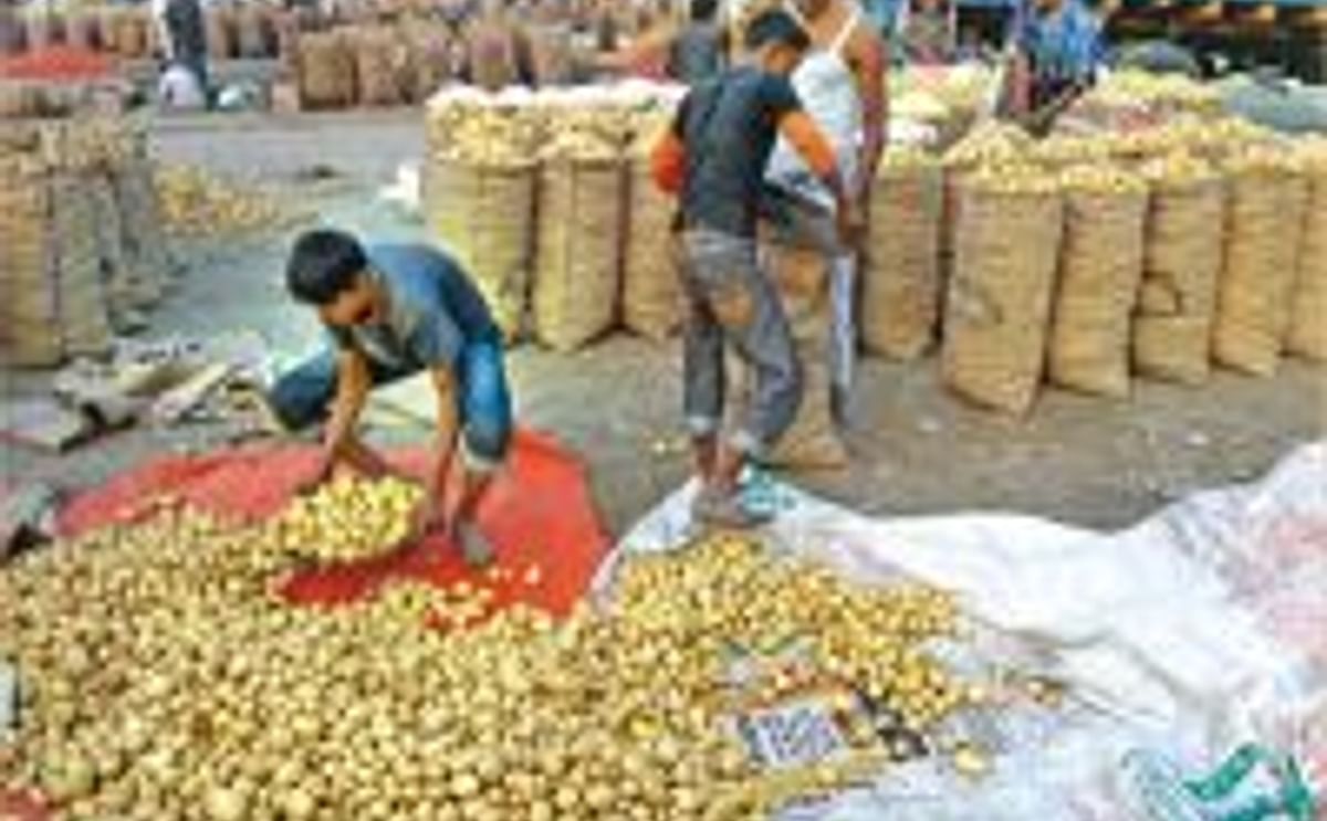 Bangladesh Potato Market Bangladesh Potato Market