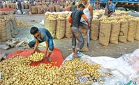 Price plunge alarms Bangladesh potato farmers Price plunge alarms Bangladesh potato farmers