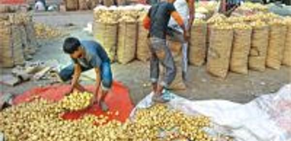  Bangladesh Potato Market