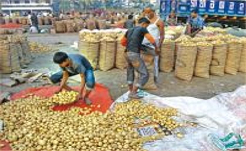 Price plunge alarms Bangladesh potato farmers