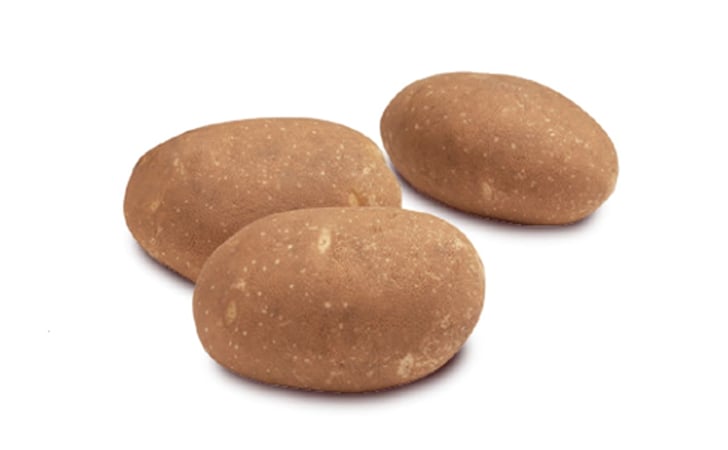 BANNOCK RUSSET BANNOCK RUSSET