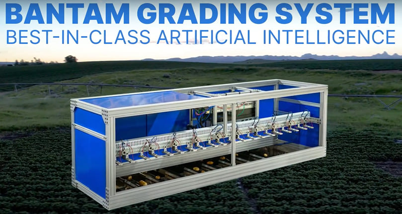 Bantam Grading System Bantam Grading System
