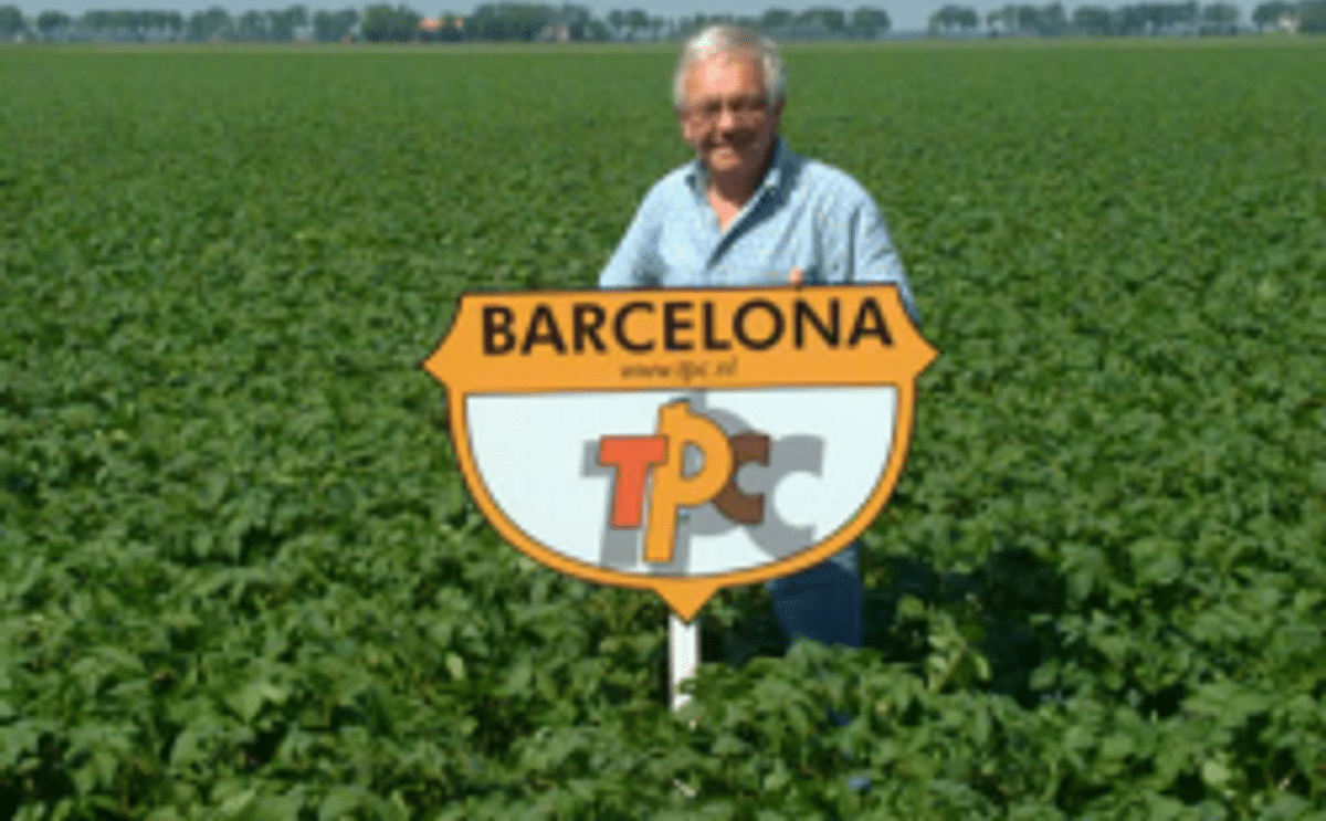 Barcelona, een nieuw aardappelras van TPC