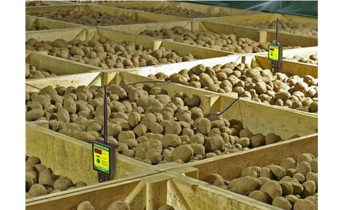 Martin Lishman-Barn Owl Wireless Martin Lishman-Barn Owl Wireless