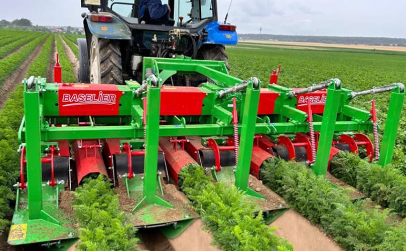 Inter-Row Cultivator Weeding Between Potato Plants Inter-Row Cultivator Weeding Between Potato Plants