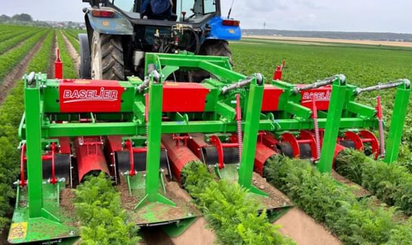 APH Group - Baselier FR Elements Cultivators APH Group - Baselier FR Elements Cultivators