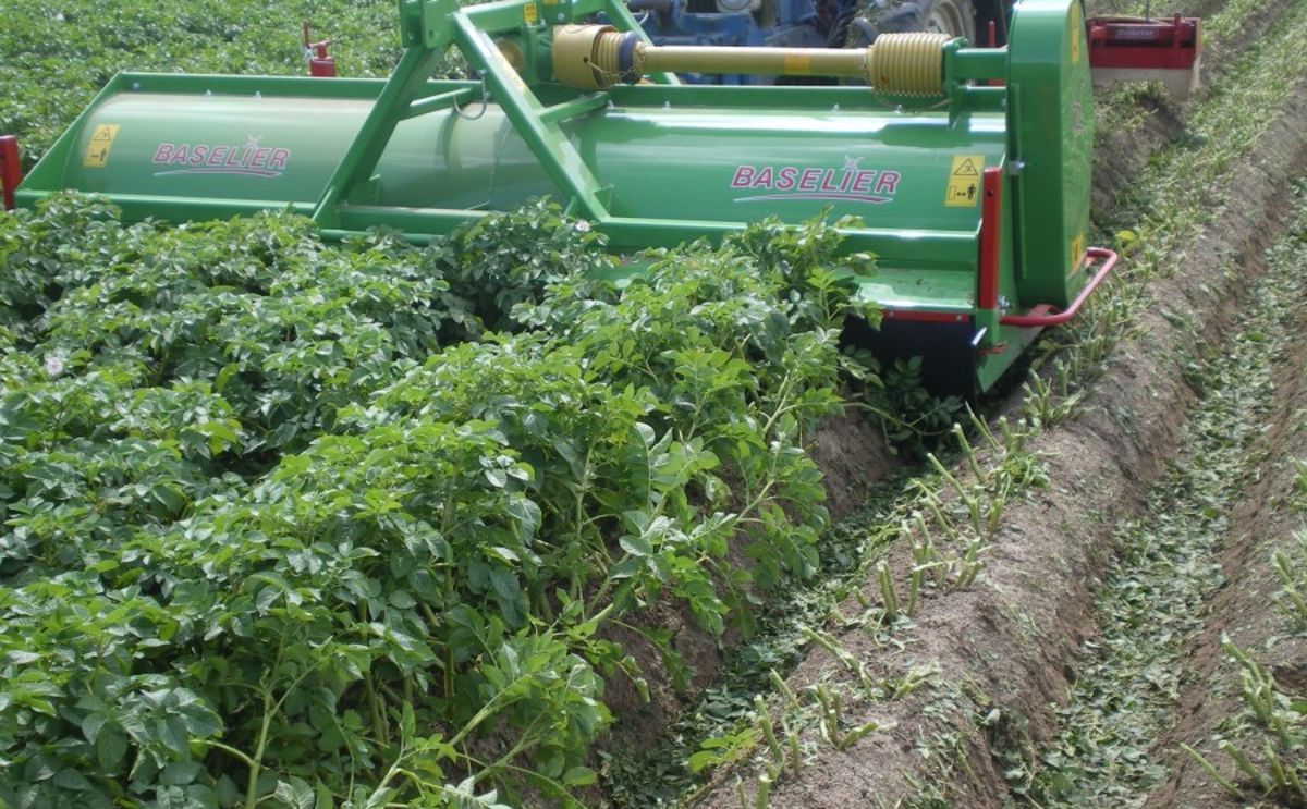 APH Group - Baselier LKB haulm toppers