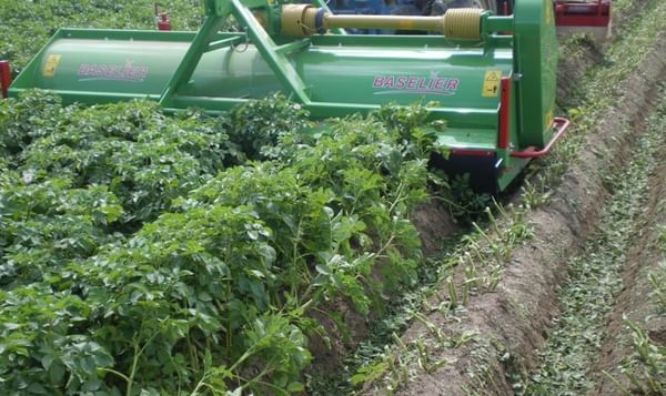 APH Group - Baselier LKB haulm toppers APH Group - Baselier LKB haulm toppers