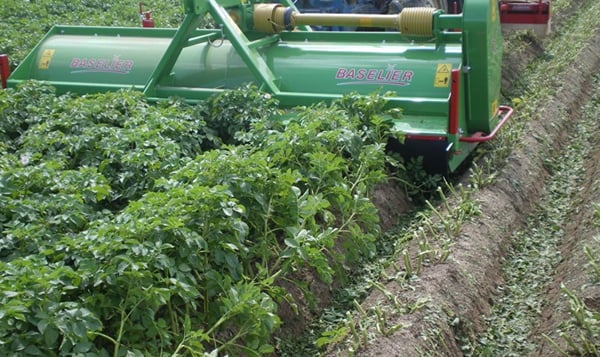 APH Group - Baselier LKB haulm toppers APH Group - Baselier LKB haulm toppers