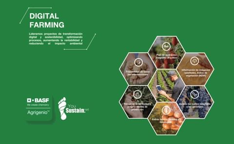 Nueva tecnología de BASF para el cultivo de patatas Nueva tecnología de BASF para el cultivo de patatas