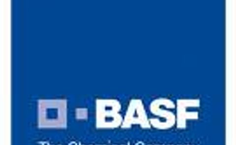 La CE confirma el cultivo ilegal de una patata transgénica en Suecia La CE confirma el cultivo ilegal de una patata transgénica en Suecia