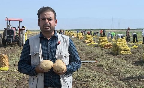 Bashir Jalal from Zinava, Duhok, was named Iraq’s top Dutch Riviera potato grower by Agrico after 16 years of hard work. Bashir Jalal from Zinava, Duhok, was named Iraq’s top Dutch Riviera potato grower by Agrico after 16 years of hard work.