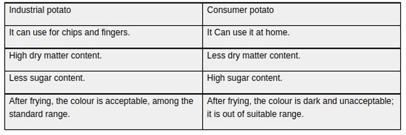 The basic difference between industrial and consumer potato The basic difference between industrial and consumer potato
