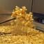 Batch and kettle style potato chip set-up