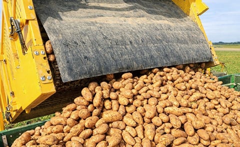 bavarian-potato-harvest-2017-809 bavarian-potato-harvest-2017-809