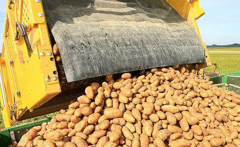 Bavarian potato harvest at its peak, consumers can expect good quality
