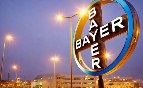 The value of HZPC again increased with the 10 percent maximum. Since May 2010, the value of certificate increased twelve times with this maximum 10 percent – and one time with more than 9 percent. The value of HZPC again increased with the 10 percent maximum. Since May 2010, the value of certificate increased twelve times with this maximum 10 percent – and one time with more than 9 percent.