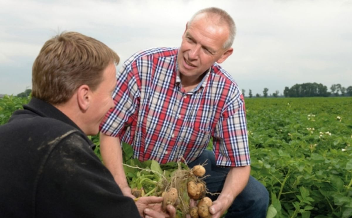 Samen werken aan een duurzame aardappelteelt: Simon Jensma, Technisch Adviseur bij Bayer CropScience geeft advies op maat aan een Nederlandse aardappelteler Samen werken aan een duurzame aardappelteelt: Simon Jensma, Technisch Adviseur bij Bayer CropScience geeft advies op maat aan een Nederlandse aardappelteler