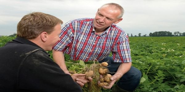 Samen werken aan een duurzame aardappelteelt: Simon Jensma, Technisch Adviseur bij Bayer CropScience geeft advies op maat aan een Nederlandse aardappelteler