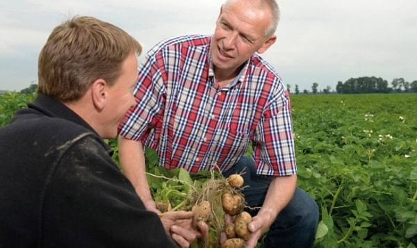 Working together for sustainable potato cultivation: Simon Jensma, Technical Advisor at Bayer CropScience, provides tailored advice to a Dutch potato grower.