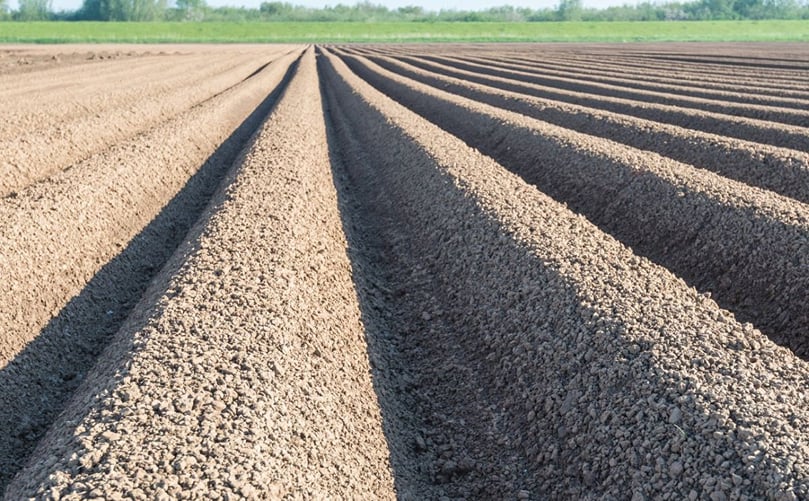 Ridge Formation: Shaping the Bed for Healthy Potato Growth Ridge Formation: Shaping the Bed for Healthy Potato Growth