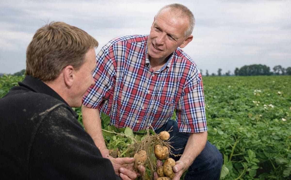 Samen werken aan een duurzame aardappelteelt: Simon Jensma, Technisch Adviseur bij Bayer CropScience geeft advies op maat aan een Nederlandse aardappelteler Samen werken aan een duurzame aardappelteelt: Simon Jensma, Technisch Adviseur bij Bayer CropScience geeft advies op maat aan een Nederlandse aardappelteler
