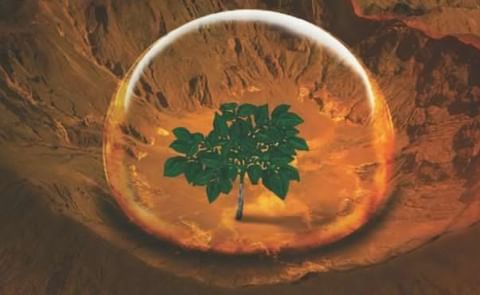 ¿Por qué la NASA quiere llevar papas peruanas a Marte? ¿Por qué la NASA quiere llevar papas peruanas a Marte?